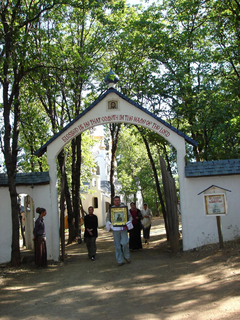 DSC00501