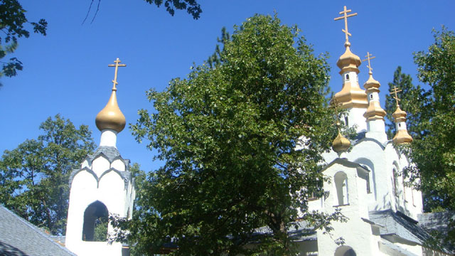 DSC05923