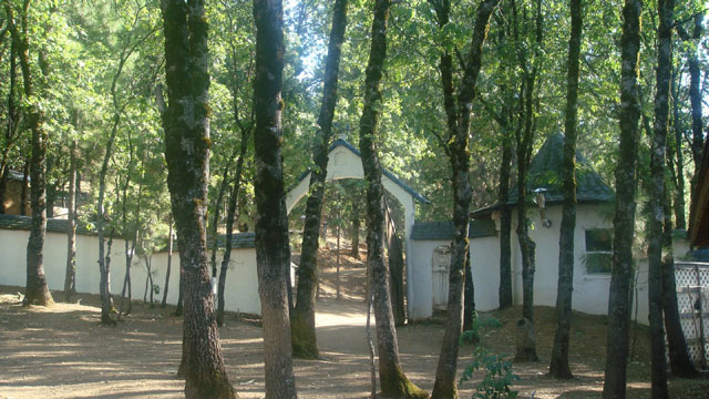 DSC05934