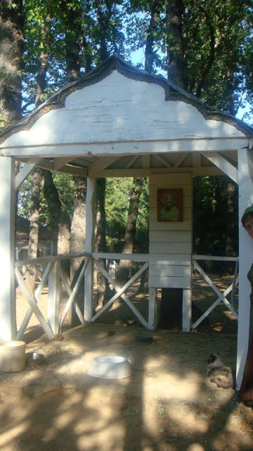 DSC05939