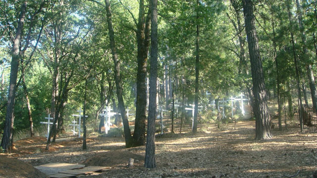 DSC05950