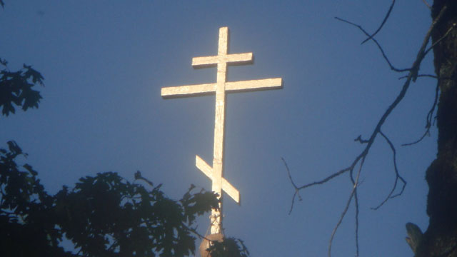 DSC06017