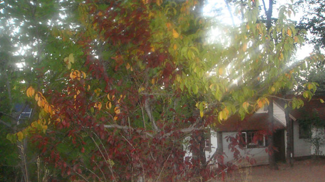 DSC06059