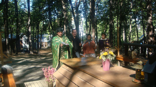 DSC06174